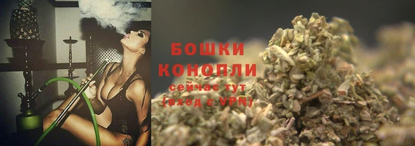 PSILOCYBIN Армянск
