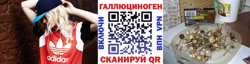 hydra вход Дыгулыбгей Галлюциногенные грибы ЛСД